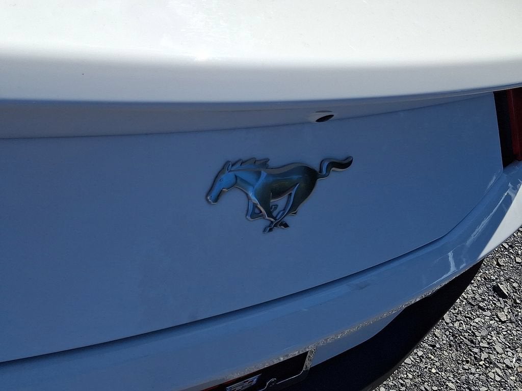 2024 Ford Mustang EcoBoost Fastback